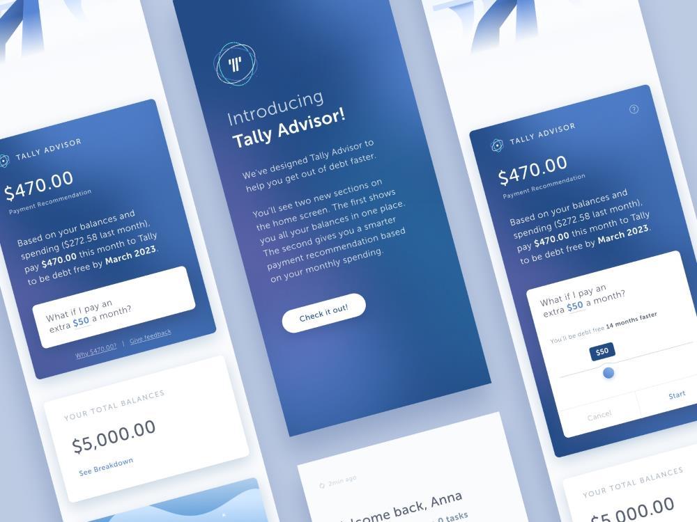 2022 Tally Advisor Review - An Automated Credit Card Debt Manager 1
