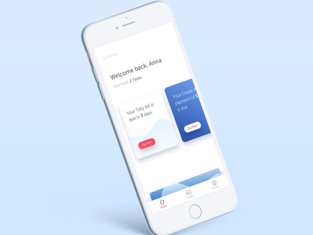 2022 Tally Advisor Review - An Automated Credit Card Debt Manager 5